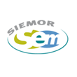 semior